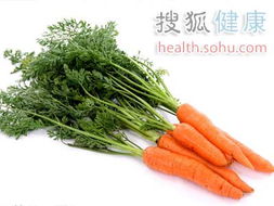 胡萝卜种植（春季最合适