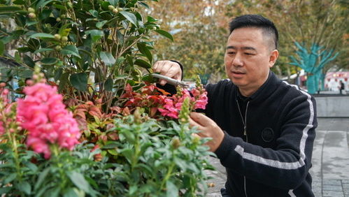 种花儿要讲究搭配