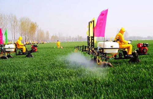 交替使用：提高防治效果