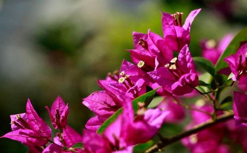 新手必知的三大坑！