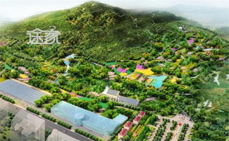 青岛世园会内部景观开放啦！