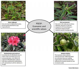 植物多样性的三大支柱