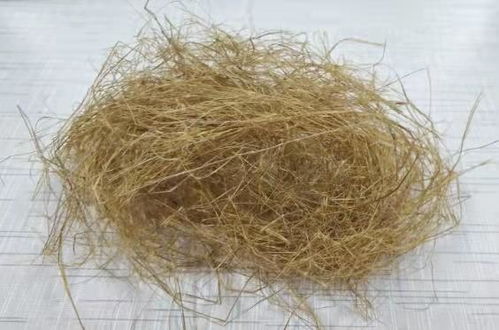 棉花：草本植物，天然纤维之选！