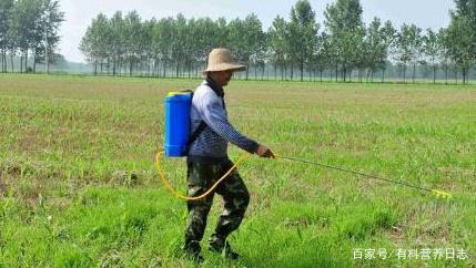 农用宝典：30%草甘膦VS 41%草甘膦， 揭秘成分与作用的那些事儿