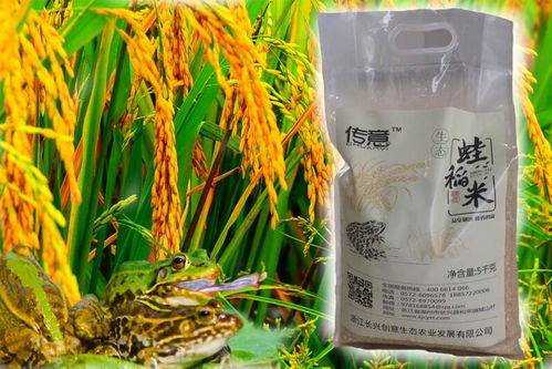 淮北地区哪种猪饲料品牌质量好，适合养殖户使用？