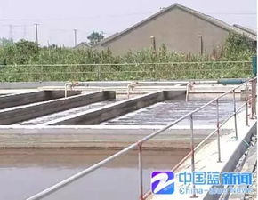 优化农业养殖场排污系统，实现粪便污水高效处理
