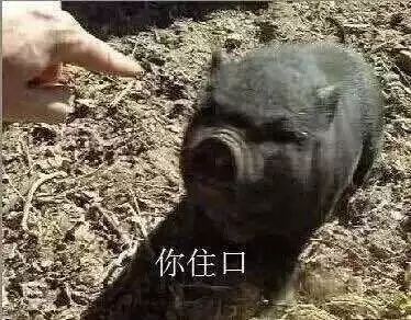 育肥猪体表发白真相，你肯定不知道