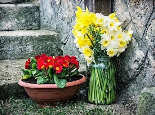 买花季节要讲究，8月这些花别买，不然真的不划算！