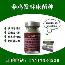 发酵床养鸡，利用微生物分解鸡粪