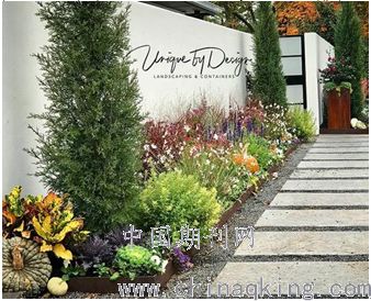 安阳月季：点缀景观的缤纷色彩