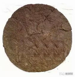 茶麸洗发：揭秘天然成分的头皮护理新趋势