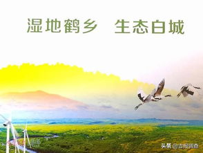 湿地选草的困境：如何避免种错草，保护生态平衡？