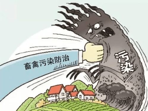 嘉兴饲料厂如何顺利通过环保检查，避免哪些常见问题？