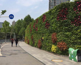 废弃配电房顶， 变成空中花园