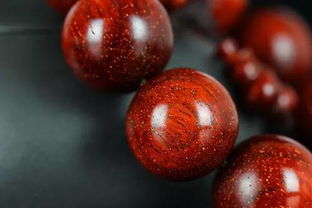 为什么苗子长到10厘米就枯叶？