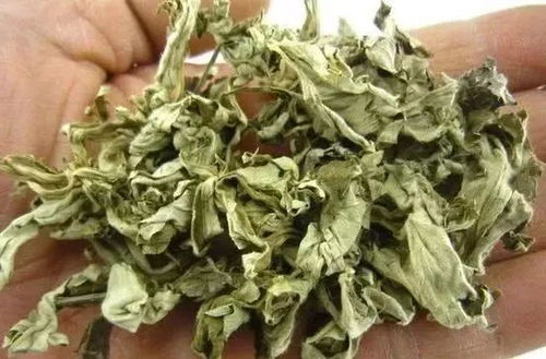 生姜艾叶花椒泡澡，究竟有何神奇功效