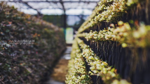 价格如同天气，说变就变