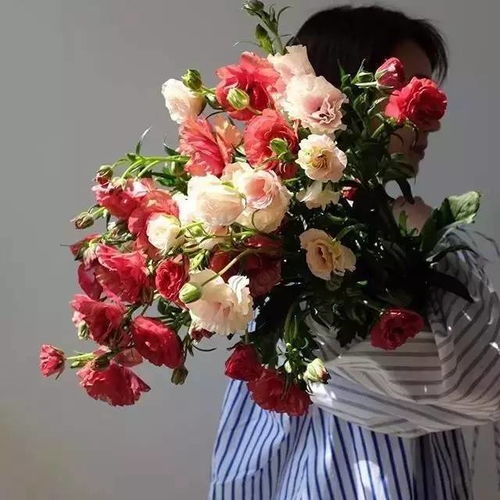 康乃馨花语送父母，如何更好地传达心意之美呢