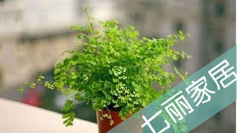 建筑的绿色空调