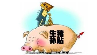 基层生猪养殖防疫检疫协同管理如何有效实施？