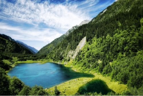 橡树种植攻略和建议