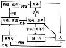 揭秘水循环：农业领域不可或缺的三种基本循环机制