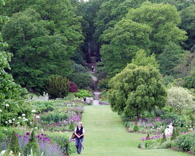 云南高原， 杏仁树种植的奇妙之旅