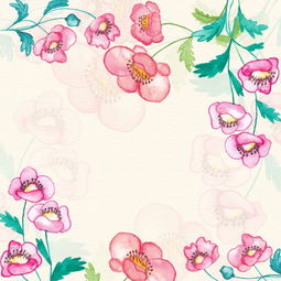 植物与环境的深刻联系