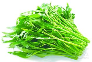 适合种植的蔬菜品种