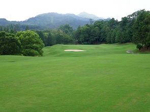 闺蜜的草坪种植失败