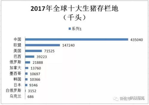 如何，精准估算养猪的利润与成本？