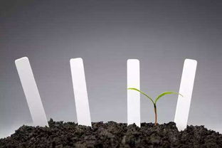 不同品牌和质量的土壤调理剂价格差异