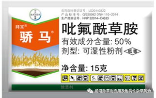 猫误食除草剂后的危机