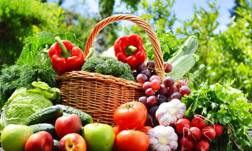 且麻姑，那可是新疆的独特！