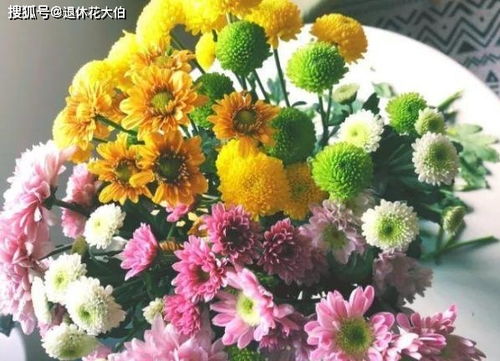 菊花：秋天的华丽舞者