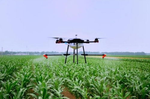 网友热议：封丘县兆林农资部的抖音话题