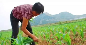 小雨还是大雨？
