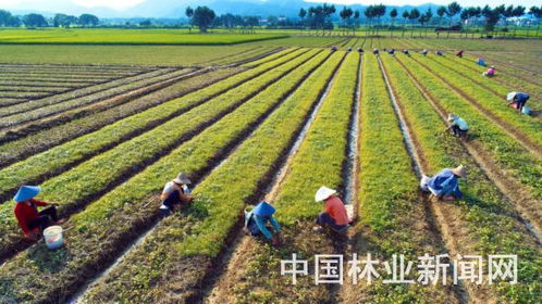 夏日如何防范日灼伤