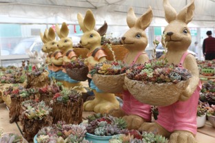 开店前，这些事情你得知道