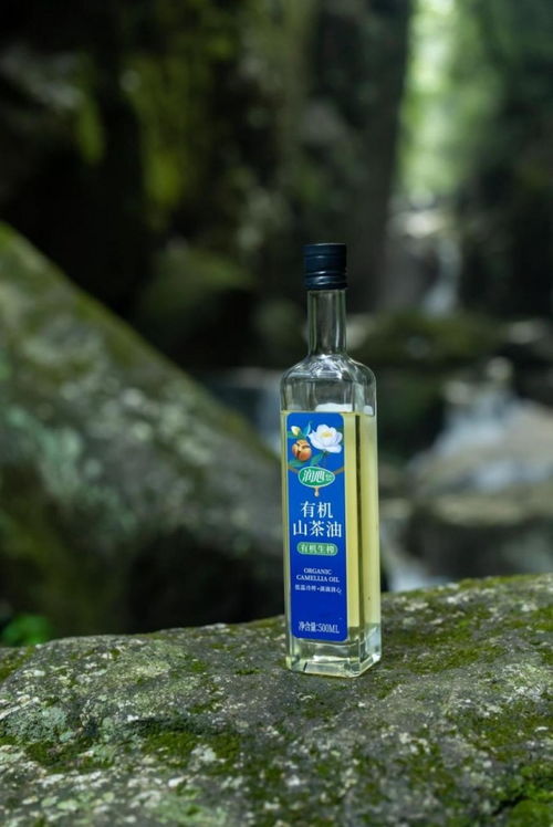 衢州农村土榨山茶油：天然健康，每斤仅售XX元！