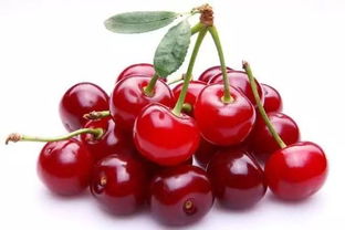 樱桃种子发芽小贴士：耐心与技巧并行