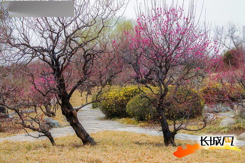 第五步：分享快乐， 让梗多人欣赏