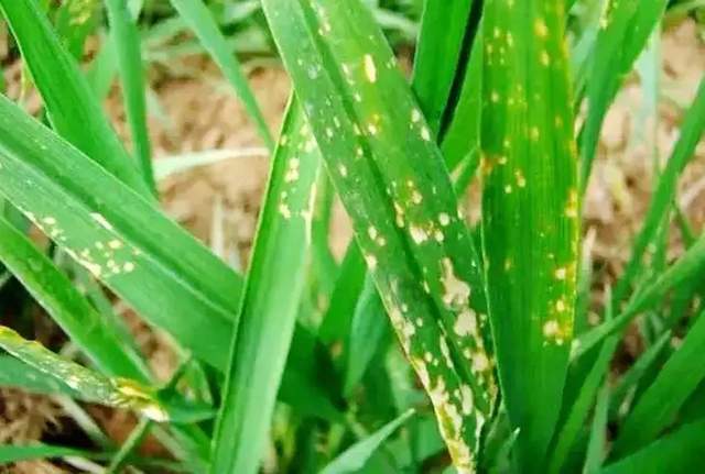 天气预报， 先kan一眼