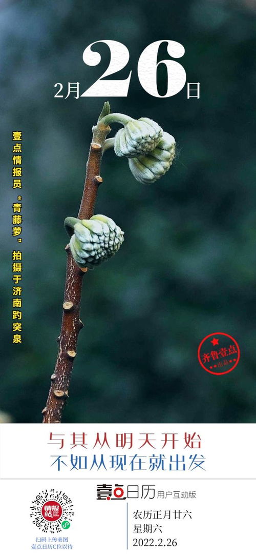 揭秘黄花叶落叶之谜：新手必知的解决技巧！