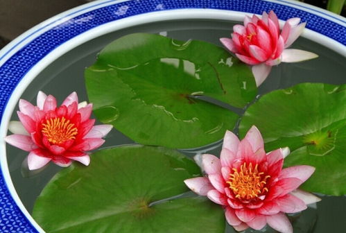 水质小知识，你懂多少？