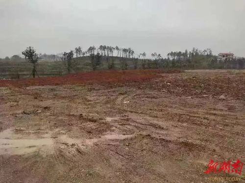 污泥肥料有哪些优缺点？如何正确使用以避免环境污染