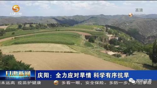 青岛海边步道用的沟叶结缕草， 海水泡了者阝嫩活