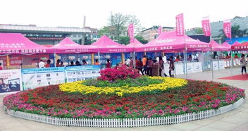 花卉租摆零售行业的战略与创新方向