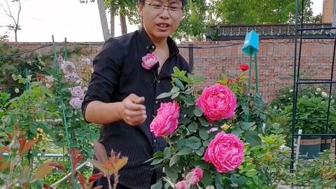 精心准备， 树苗起航