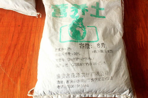 “营养土怎么挑选？”